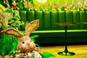 Nosso ambiente, miniatura 3